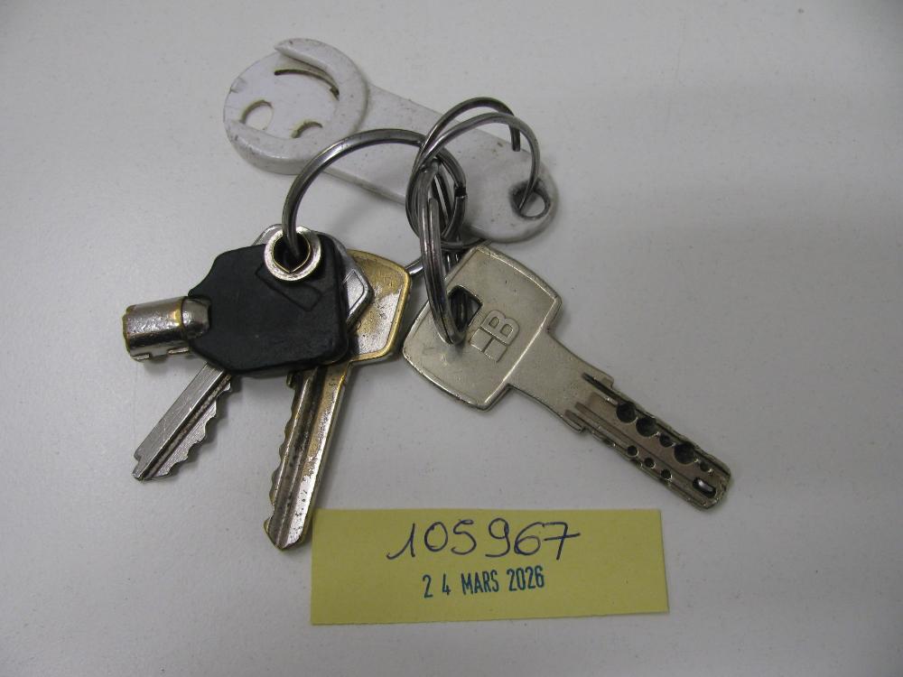 Clés : N° 2026001589 Trouvé(e) le : Tue Mar 24 00:00:00 CET 2026